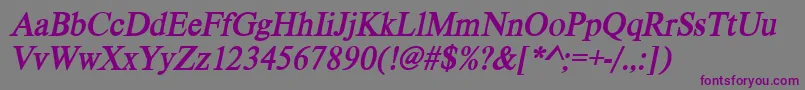 VietnamesetimessskBolditalic Font – Purple Fonts on Gray Background