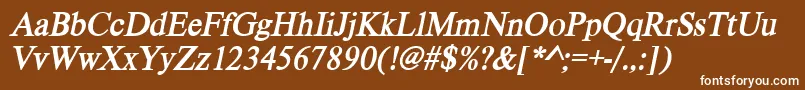 VietnamesetimessskBolditalic Font – White Fonts on Brown Background