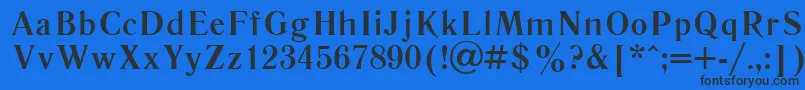 LiteraturnayacttBold Font – Black Fonts on Blue Background