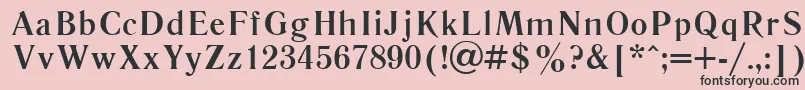 フォントLiteraturnayacttBold – ピンクの背景に黒い文字