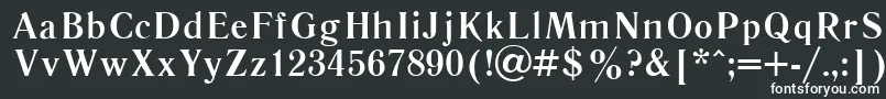 LiteraturnayacttBold Font – White Fonts on Black Background
