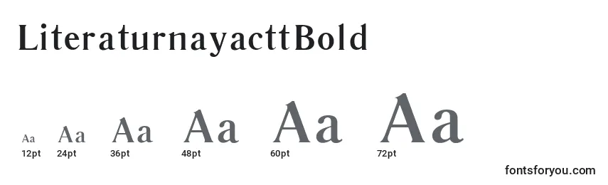 Размеры шрифта LiteraturnayacttBold