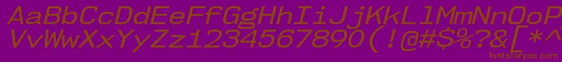 Nk57MonospaceSeRgIt Font – Brown Fonts on Purple Background