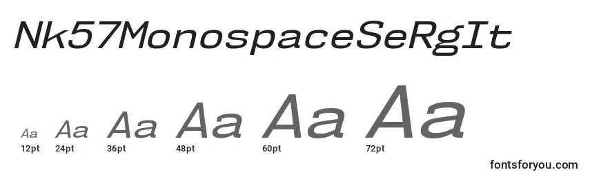 Размеры шрифта Nk57MonospaceSeRgIt