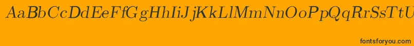 CmRomanSlanted Font – Black Fonts on Orange Background