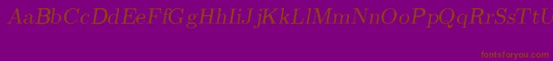 CmRomanSlanted Font – Brown Fonts on Purple Background