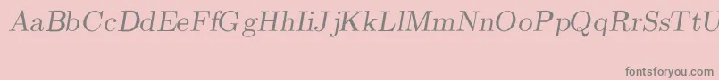 CmRomanSlanted Font – Gray Fonts on Pink Background