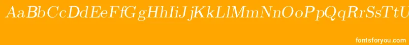 CmRomanSlanted Font – White Fonts on Orange Background