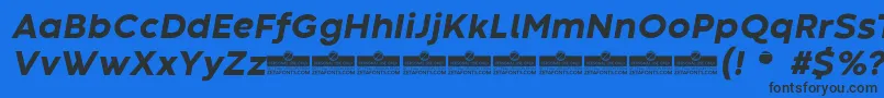 CodecWarmExtraboldItalicTrial Font – Black Fonts on Blue Background