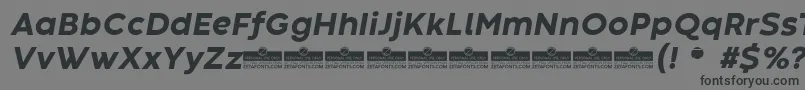 Шрифт CodecWarmExtraboldItalicTrial – чёрные шрифты на сером фоне