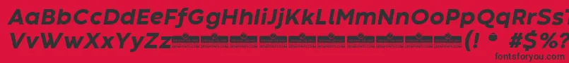 CodecWarmExtraboldItalicTrial Font – Black Fonts on Red Background