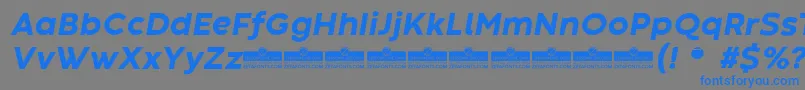 CodecWarmExtraboldItalicTrial-Schriftart – Blaue Schriften auf grauem Hintergrund