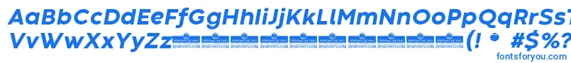 CodecWarmExtraboldItalicTrial Font – Blue Fonts on White Background