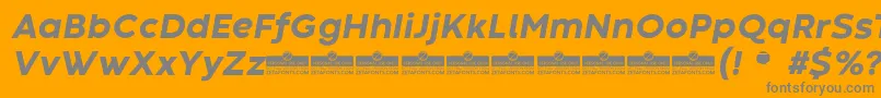 CodecWarmExtraboldItalicTrial-Schriftart – Graue Schriften auf orangefarbenem Hintergrund