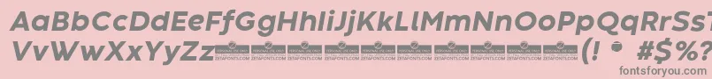 CodecWarmExtraboldItalicTrial-fontti – harmaat kirjasimet vaaleanpunaisella taustalla