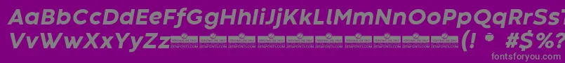 CodecWarmExtraboldItalicTrial Font – Gray Fonts on Purple Background