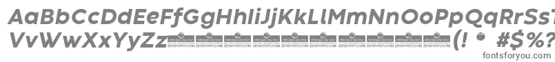 CodecWarmExtraboldItalicTrial Font – Gray Fonts
