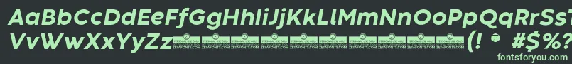 CodecWarmExtraboldItalicTrial-fontti – vihreät fontit mustalla taustalla