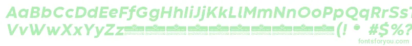 Шрифт CodecWarmExtraboldItalicTrial – зелёные шрифты на белом фоне