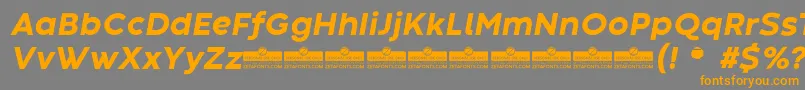 フォントCodecWarmExtraboldItalicTrial – オレンジの文字は灰色の背景にあります。