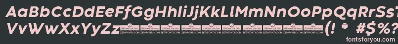 CodecWarmExtraboldItalicTrial Font – Pink Fonts on Black Background