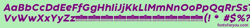 Шрифт CodecWarmExtraboldItalicTrial – фиолетовые шрифты на зелёном фоне