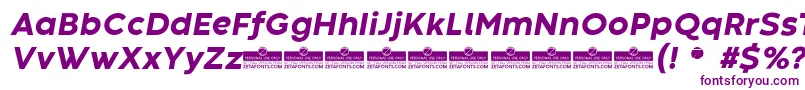 CodecWarmExtraboldItalicTrial-fontti – violetit fontit valkoisella taustalla