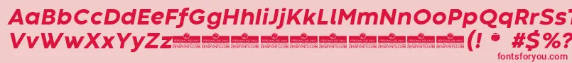 フォントCodecWarmExtraboldItalicTrial – ピンクの背景に赤い文字