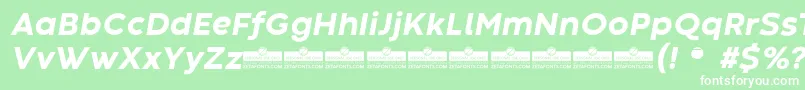CodecWarmExtraboldItalicTrial Font – White Fonts on Green Background