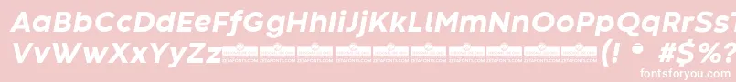CodecWarmExtraboldItalicTrial Font – White Fonts on Pink Background