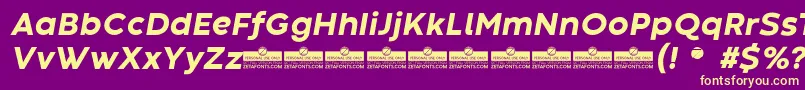 CodecWarmExtraboldItalicTrial-fontti – keltaiset fontit violetilla taustalla