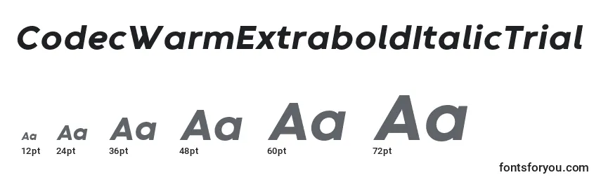 CodecWarmExtraboldItalicTrial Font Sizes