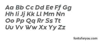 CodecWarmExtraboldItalicTrial-fontti