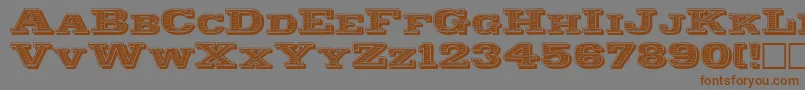 Police Woodcut – polices brunes sur fond gris