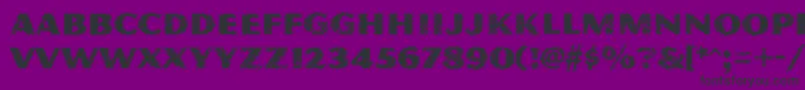 MagnesiummvbstdGrime Font – Black Fonts on Purple Background