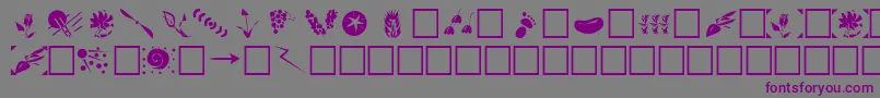 フォントOregonPlain – 紫色のフォント、灰色の背景