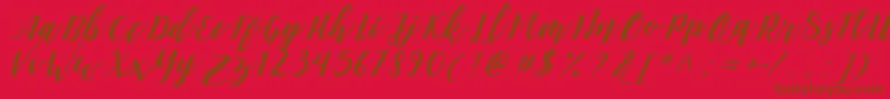 DanieshaForPersonalUse Font – Brown Fonts on Red Background