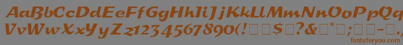 Lisätietoja DeccaDisplaySsi-fontista DeccaDisplaySsi-fontti – ruskeat fontit harmaalla taustalla