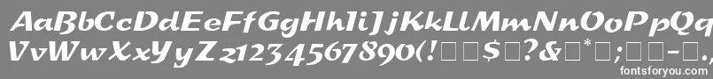 DeccaDisplaySsi Font – White Fonts on Gray Background