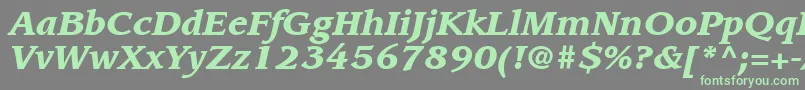 Czcionka ItcLeawoodLtBlackItalic – zielone czcionki na szarym tle