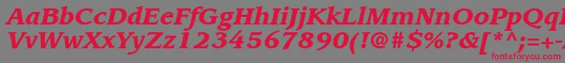ItcLeawoodLtBlackItalic Font – Red Fonts on Gray Background