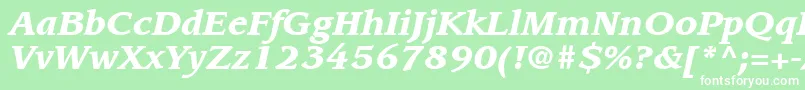 ItcLeawoodLtBlackItalic Font – White Fonts on Green Background