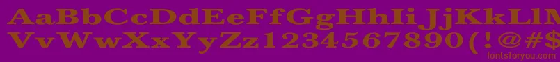 NewbaskervilleBoldEx-Schriftart – Braune Schriften auf violettem Hintergrund