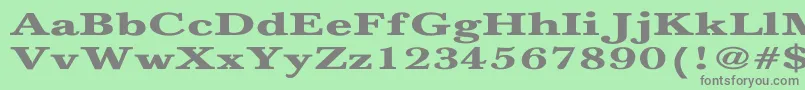 NewbaskervilleBoldEx Font – Gray Fonts on Green Background