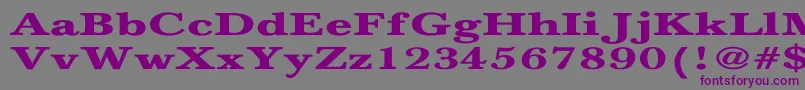 NewbaskervilleBoldEx-Schriftart – Violette Schriften auf grauem Hintergrund