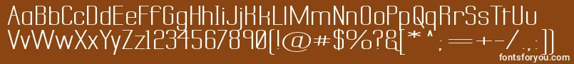 Labtsecs Font – White Fonts on Brown Background