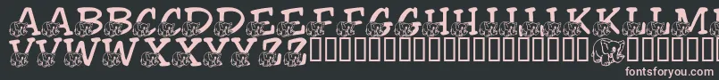 fuente LmsFriendlyElephant – Fuentes Rosadas Sobre Fondo Negro