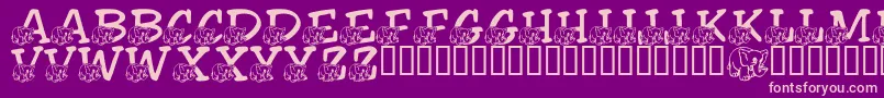 LmsFriendlyElephant-fontti – vaaleanpunaiset fontit violetilla taustalla