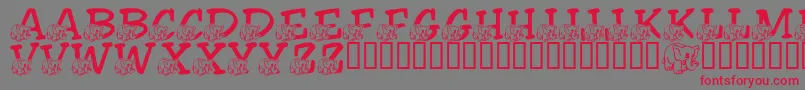 Police LmsFriendlyElephant – polices rouges sur fond gris