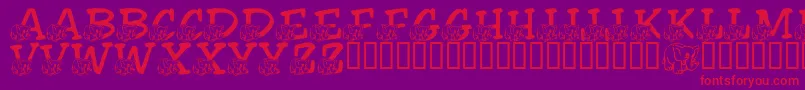 LmsFriendlyElephant Font – Red Fonts on Purple Background